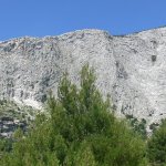 balazsh 2011